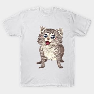 Kitten T-Shirt